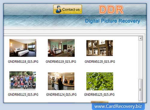 Digital Pics Recovery screenshot